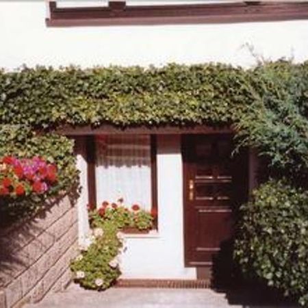 Ferienwohnung Ribnitz Most 901 エクステリア 写真